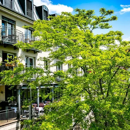 Daire Bs Neckar