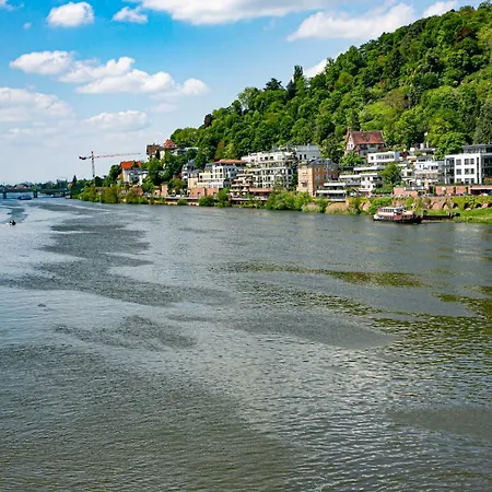 Daire Bs Neckar